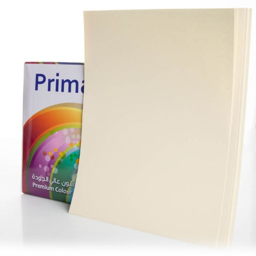 Picture of ورق تصوير ملون بيج