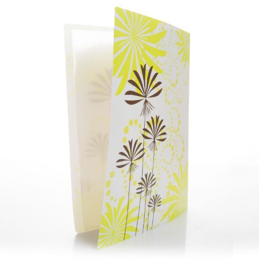 Picture of ملف جيوب 30 جيب مورد