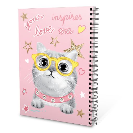 صورة دفتر ريكورد A6-70 بناتي انسباير