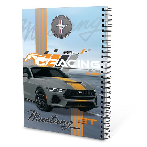 Picture of دفتر ريكورد A4-100 موستنج رمادي