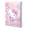 صورة دفتر ريكورد A4-100 هيلو كيتي زهري